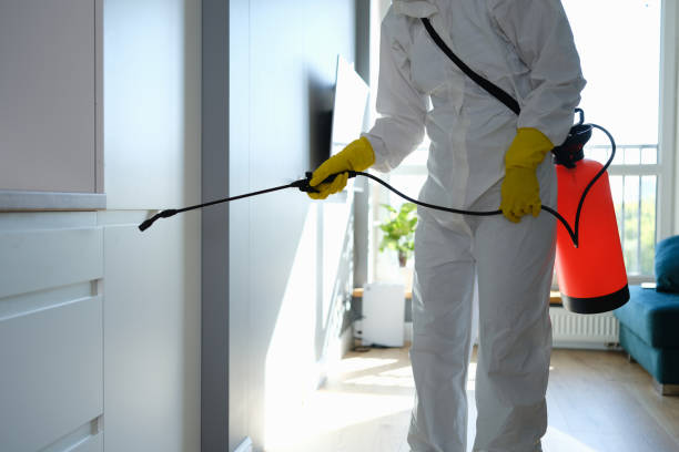 Best Residential Mold Removal  in Rancho Cumonga, CA