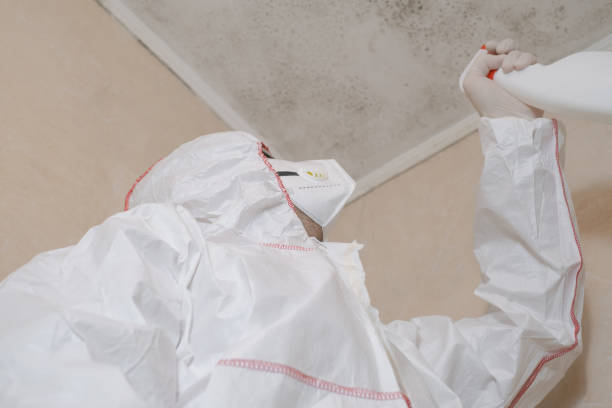 Best Mold Testing and Removal  in Rancho Cumonga, CA